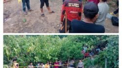 Warga Sabbang digegerkan Penemuan mayat di Kebun